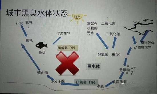 江蘇億元投資治污新技術 石墨烯能否治理黑臭水體？