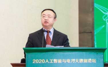 國(guó)家電網(wǎng)有限公司大數(shù)據(jù)中心主任、黨委副書記 王繼業(yè)：激活電力大數(shù)據(jù)價(jià)值 落實(shí)公司碳達(dá)峰碳中和行動(dòng)方案