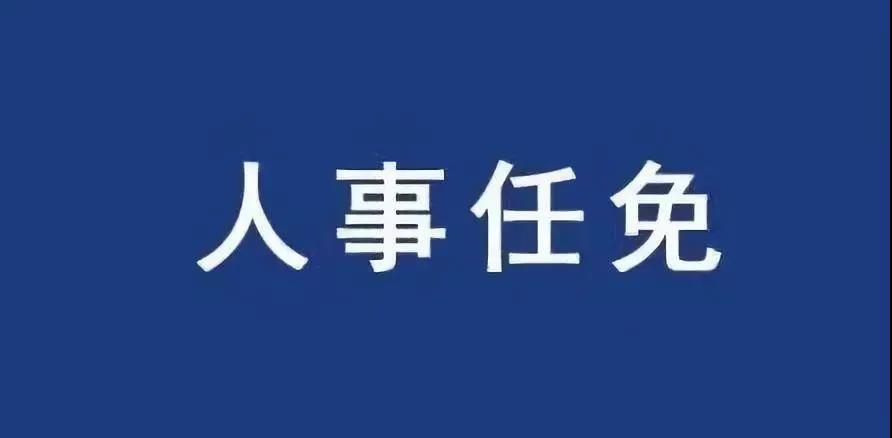 重磅！張智剛?cè)螄?guó)家電網(wǎng)總經(jīng)理、黨組副書記，韓君出任三峽集團(tuán)總經(jīng)理