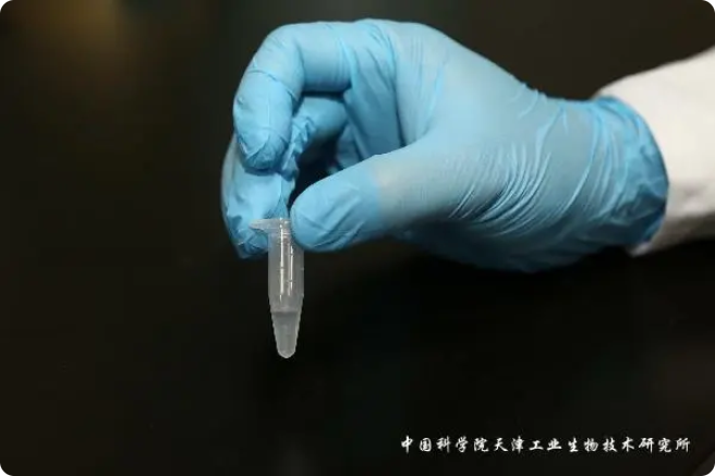 二氧化碳“變身”糖，中國科學(xué)家實(shí)現(xiàn)重大突破!