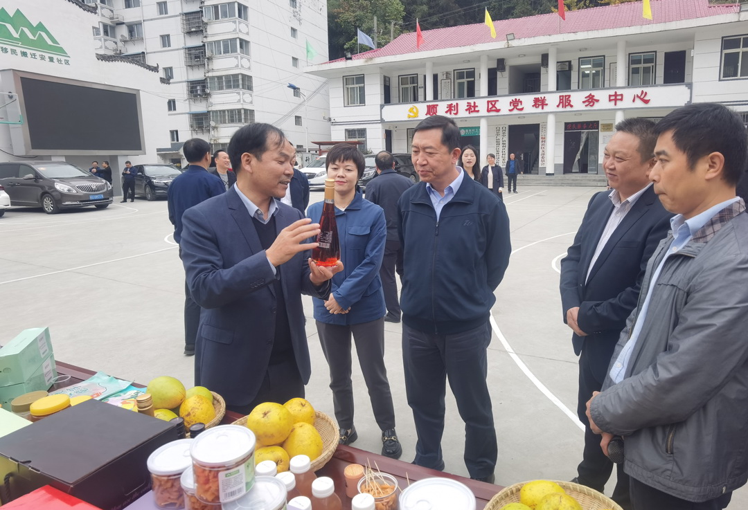 中核集團(tuán)總經(jīng)理、黨組副書記顧軍赴陜西白河、旬陽調(diào)研鄉(xiāng)村振興工作