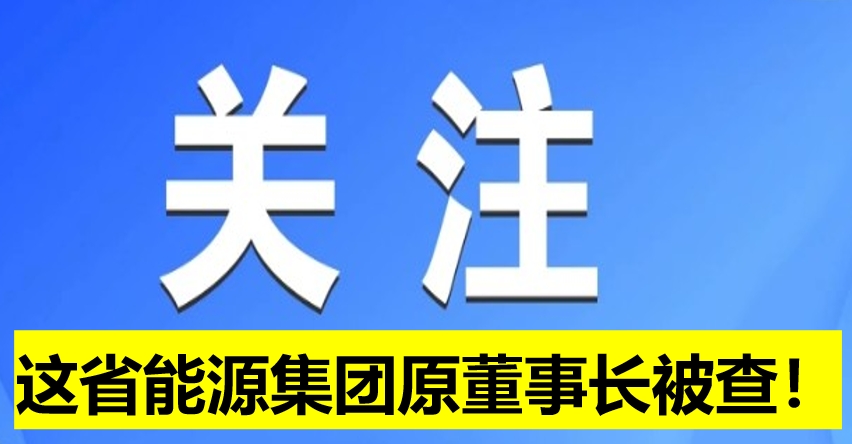 這省能源集團原董事長被查！